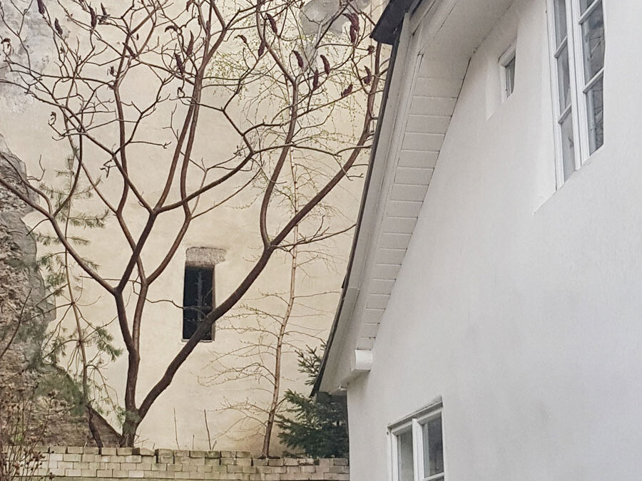 Znojmo – archiskvost a Malá Letná v jednom 